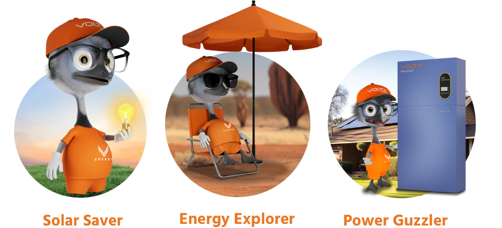 Quiz Visual